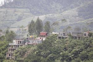 Photo of trees at the foot of the mountain during the day