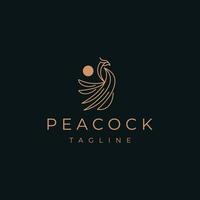 Abstract luxury peacock logo design template vector