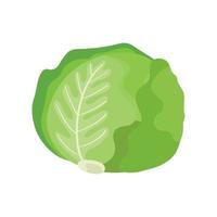 icono aislado de vegetales de lechuga fresca vector