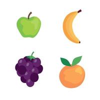 set of fresh and healthy fruits vector