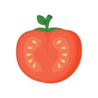 fresh tomato vegetable in white background vector