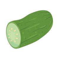 cucumber fresh vegetable, in white background vector