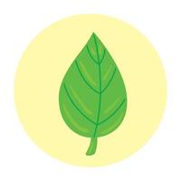 nature leaf in round frame, on white background vector