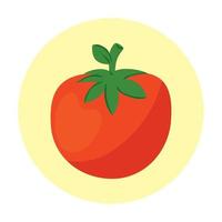 fresh tomato vegetable in round frame, on white background vector