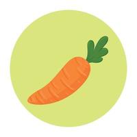 fresh carrot vegetable in round frame, on white background vector