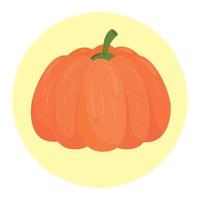fresh pumpkin in round frame, on white background vector