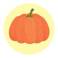 fresh pumpkin in round frame, on white background vector