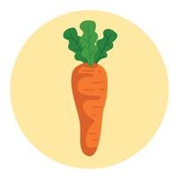 fresh carrot vegetable on round frame, in white background vector