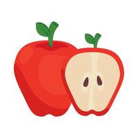 apple red and slice fruit on white background vector