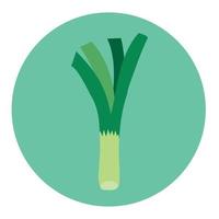 fresh leek vegetable on round frame, in white background vector