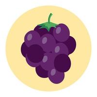 fresh grapes fruits on round frame, in white background vector