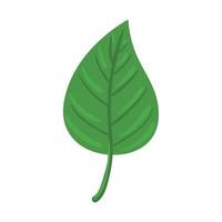 ecología de la naturaleza de la hoja, en fondo blanco vector