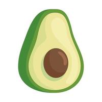 fresh avocado vegetable on white background vector