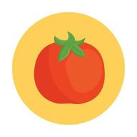 fresh tomato vegetable on round frame vector