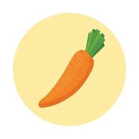 fresh carrot vegetable on round frame vector