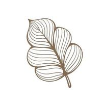 Floral botanical abstract leaf and branches line art doodle. Outline design elements isolated on background, vector illustration