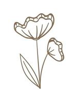 Doodle de arte de línea de flor abstracta botánica floral. esbozar elementos de diseño aislados en el fondo, ilustración vectorial vector
