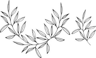 Hand drawing sketching backgrownd with vector black and gray branches with leaves. Vector elements for wedding design, logo design, packaging and other ideas