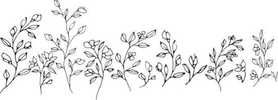 Graphic hand drawing vector plant branches with buds and berries. Vector elements for wedding design, logo design, packaging and other ideas