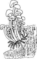 champiñones garabatos. Se diferencian los hongos crecen en el tocón y alrededor de las flores silvestres. colorante vectorial. vector