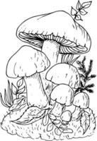 Doodle mushrooms. Difers mushrooms grow on the stump and around to wild flowers. Vector coloring.