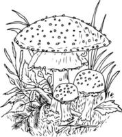 Doodle mushrooms. Difers mushrooms grow on the stump and around to wild flowers. Vector coloring.