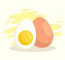 set of delicious and healthy eggs vector