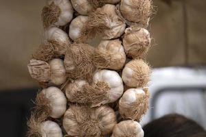 many garlic heads at the market photo