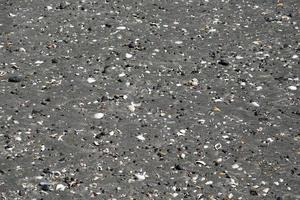 Many different shells on the beach photo