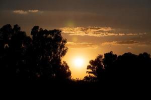 Vendicari Saline bird reserve at sunset photo