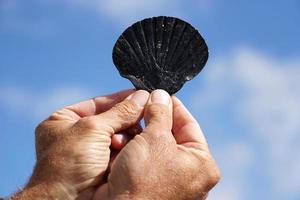 Hand with a shell in the sky photo