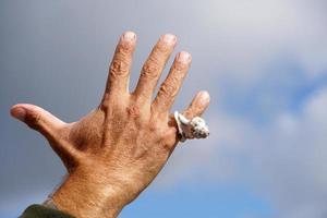 Hand with a shell like a ring photo