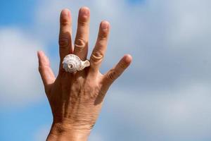 Hand with a shell like a ring photo