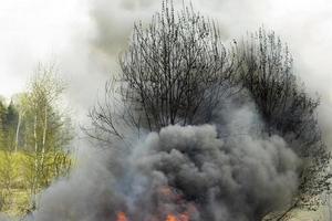 Black smoke from fire. Burning of garbage. Destruction of nature. Environmental disaster. photo
