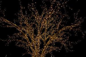 Garlands on tree. Light bulbs in dark. photo