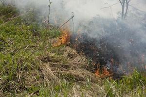 Black smoke from fire. Burning of garbage. Destruction of nature. Environmental disaster. photo