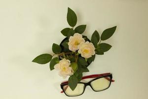 Glasses and flower on white background. Slippers with eyeglasses. Poor visibility. photo