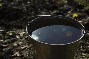 Water in bucket. Bucket in garden. Water for watering plants. Details of rural life.