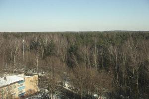 vista desde el dron al bosque. foto del paisaje.