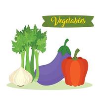 pancarta con verduras, berenjena, apio, ajo y pimienta vector