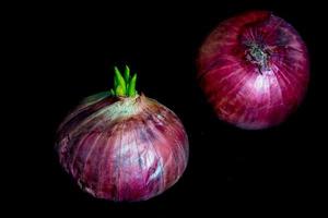 frescura brote nuevo hojas de cebolla roja foto