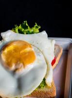 Fried egg and vegetable on sandwich bread photo