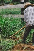 Unidentifiable farm worker cutting weeds with a hoe in a farm photo