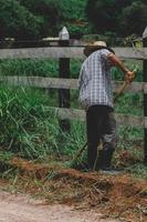 trabajador agrícola no identificable cortando malezas con una azada en una granja foto