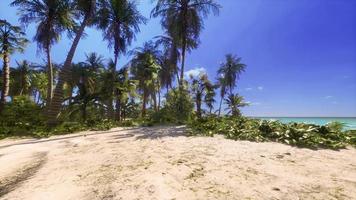 View of nice tropical beach with palms around photo