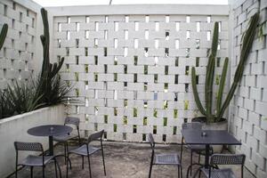 Outdoor cafe with cactus and aloe vera near the wall beautiful architectural. photo