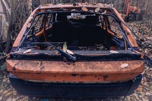 Old abandoned cars dumped in the Forest somewhere in Belgium. photo