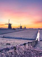 los tres molinos de viento en stompwijk en los países bajos. Durante una mañana muy fría, pero con un hermoso amanecer. foto