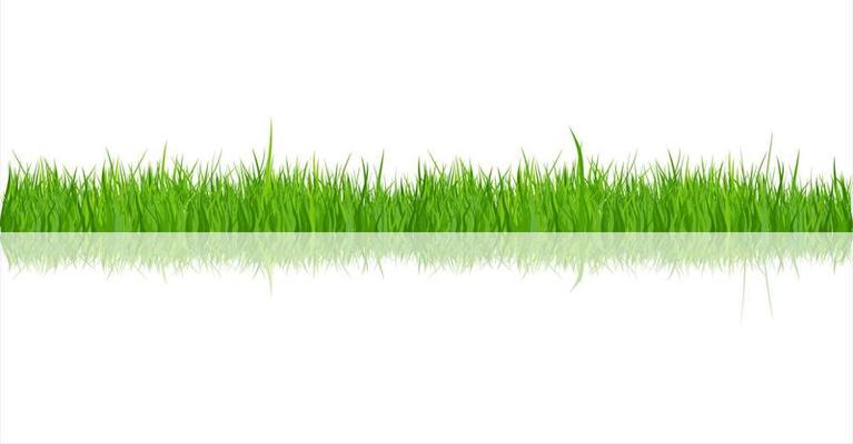 Green Grass Collection And White Background vector illustration