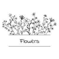 marco floral dibujado a mano. logo. flores y hojas de fideos delineadas, marco para su texto. Ilustración vectorial sobre fondo blanco vector